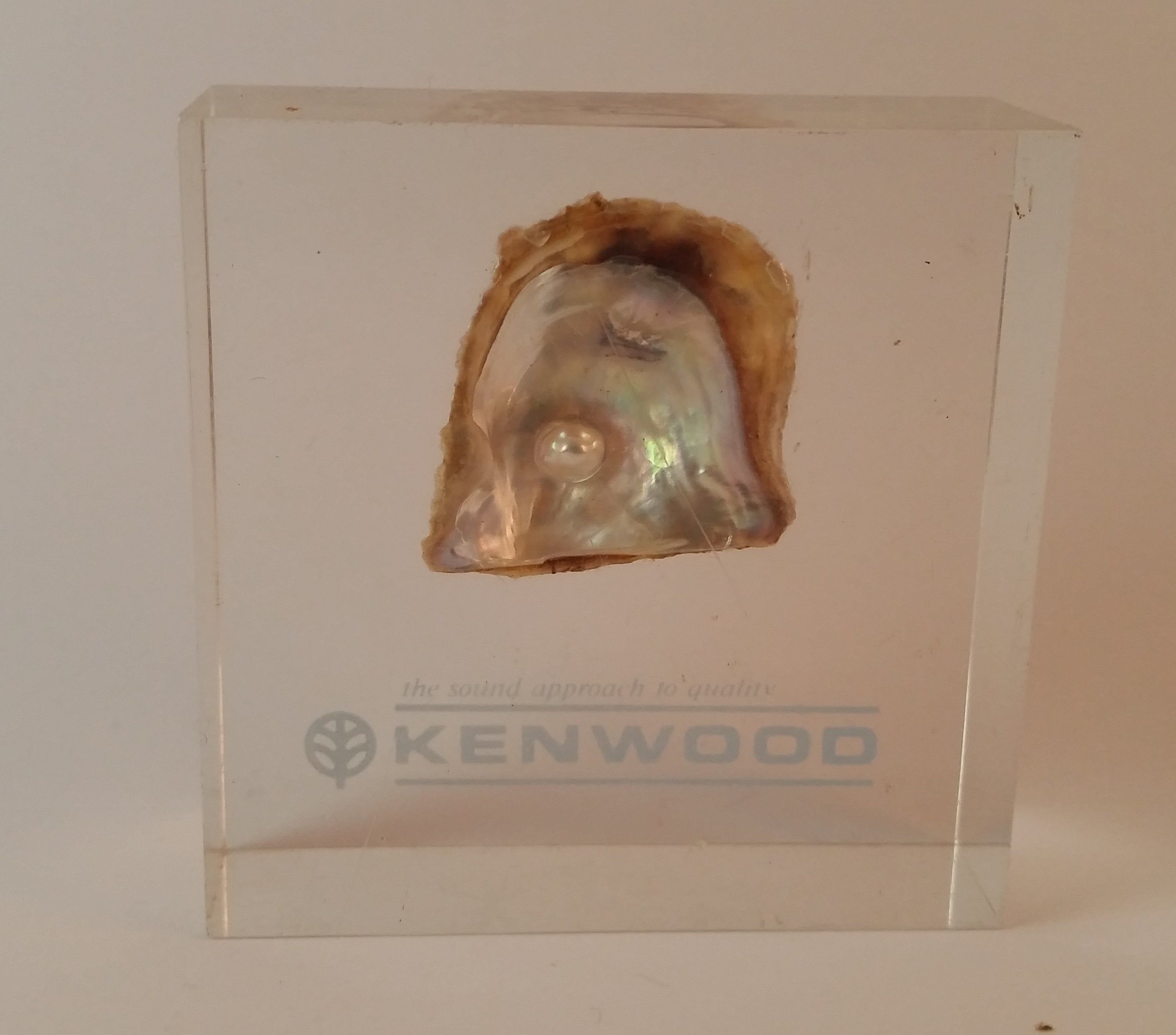 Vintage Kenwood Electronics Lucite Clear Resin Pearl in Shell Paperweight