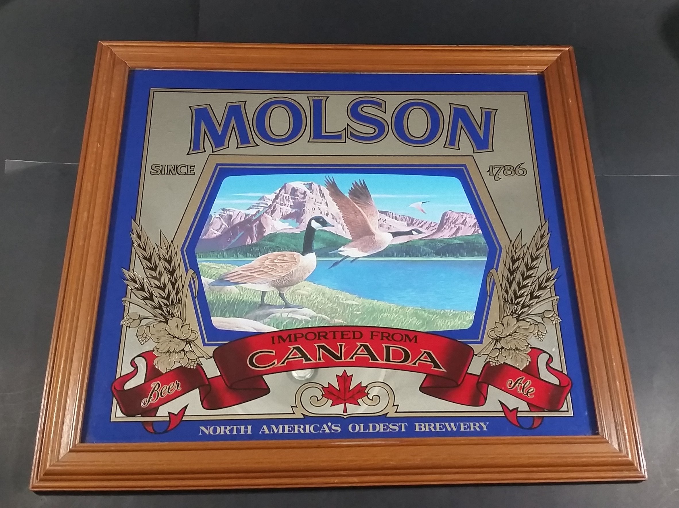 Vintage Molson Canadian Since 1786 Canada Goose Mountain Lake Scene Advertising Mirror