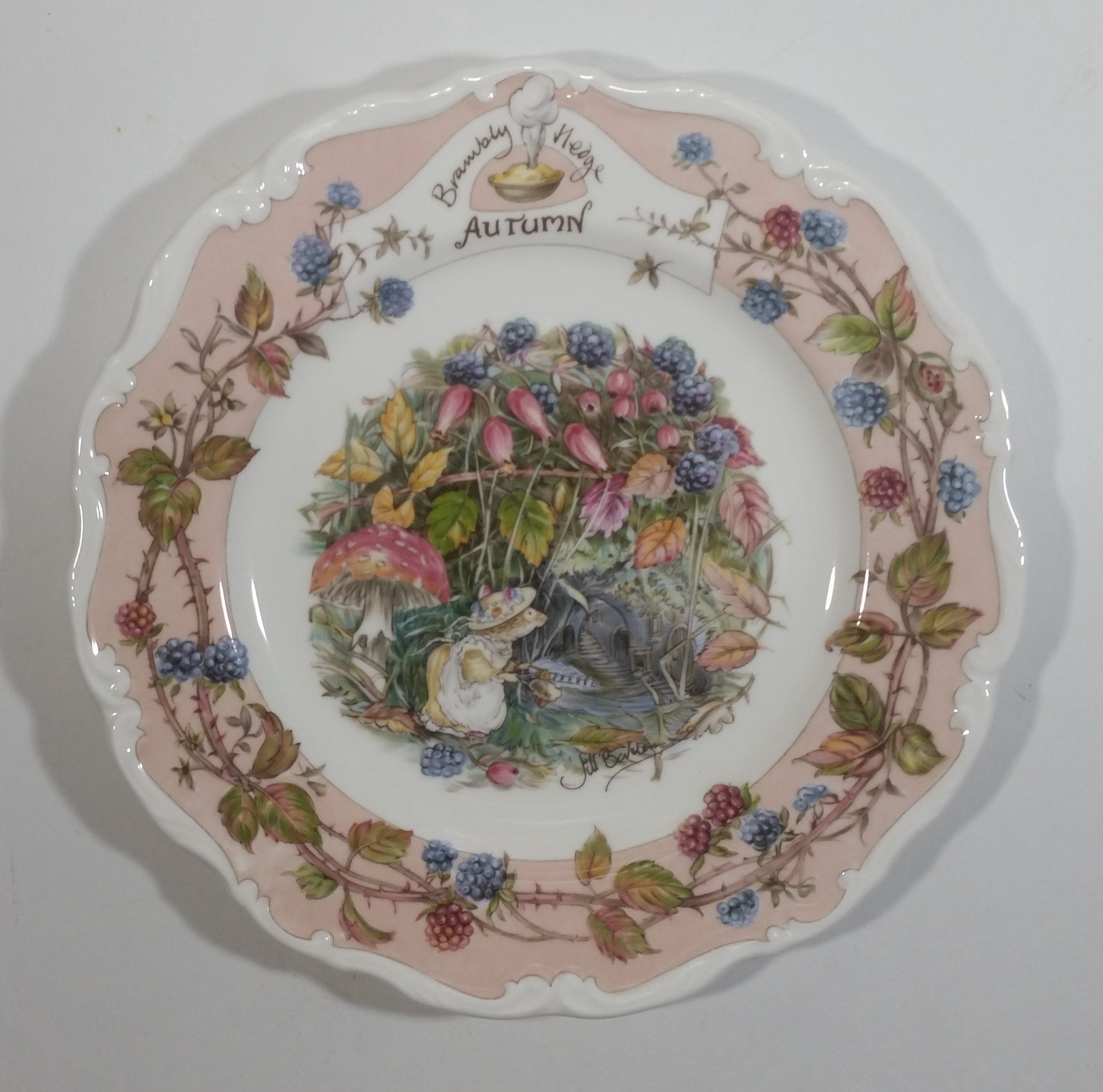 Vintage 1982 Royal Doulton Jill Barklem Four Seasons Bone China Plates Full Set Made in England 6