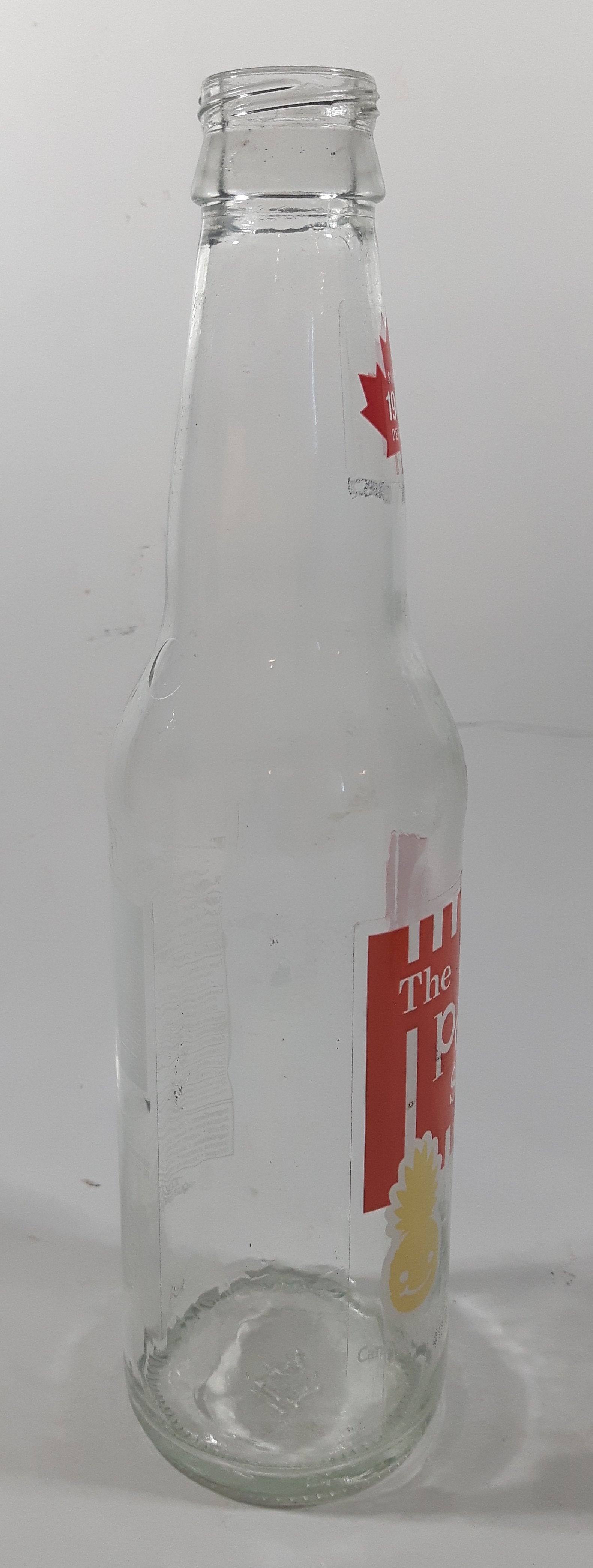 The Pop Shoppe Pineapple 9" Tall 355mL Clear Glass Soda Pop Bottle 4
