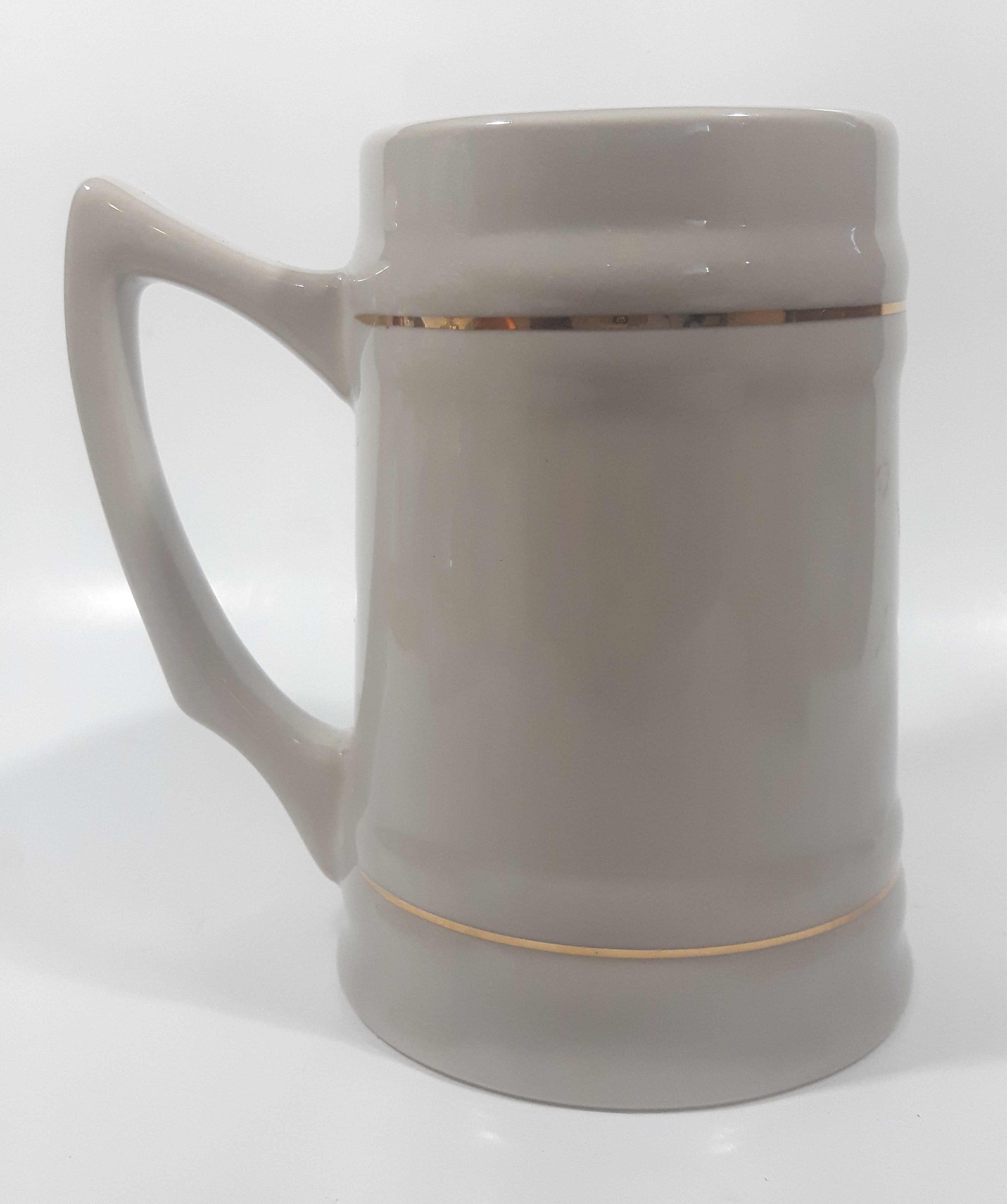 Miami Dolphins NFL Football Team 5 1/2" Tall Stoneware Stein Beer Mug 5