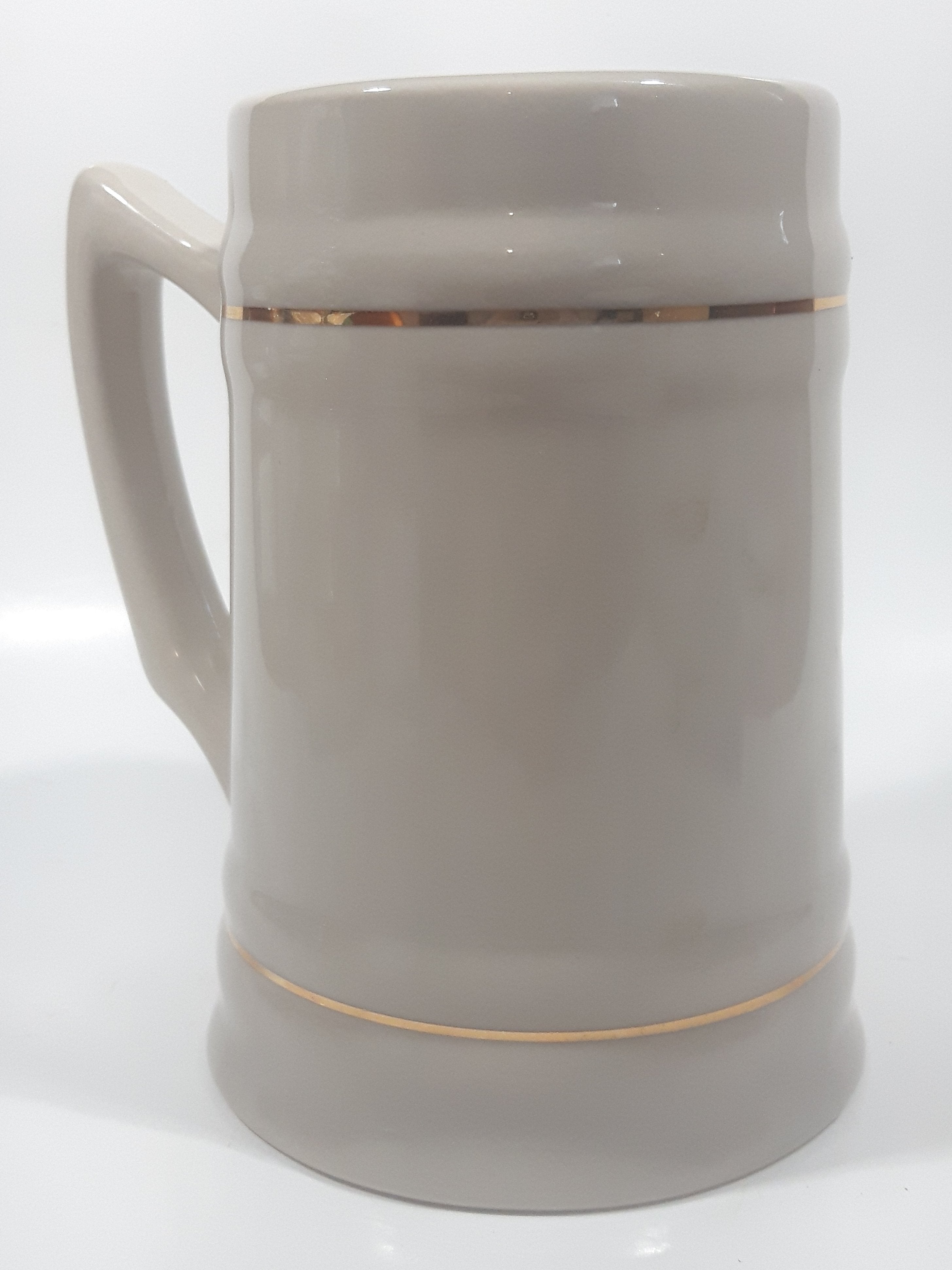 Miami Dolphins NFL Football Team 5 1/2" Tall Stoneware Stein Beer Mug 6