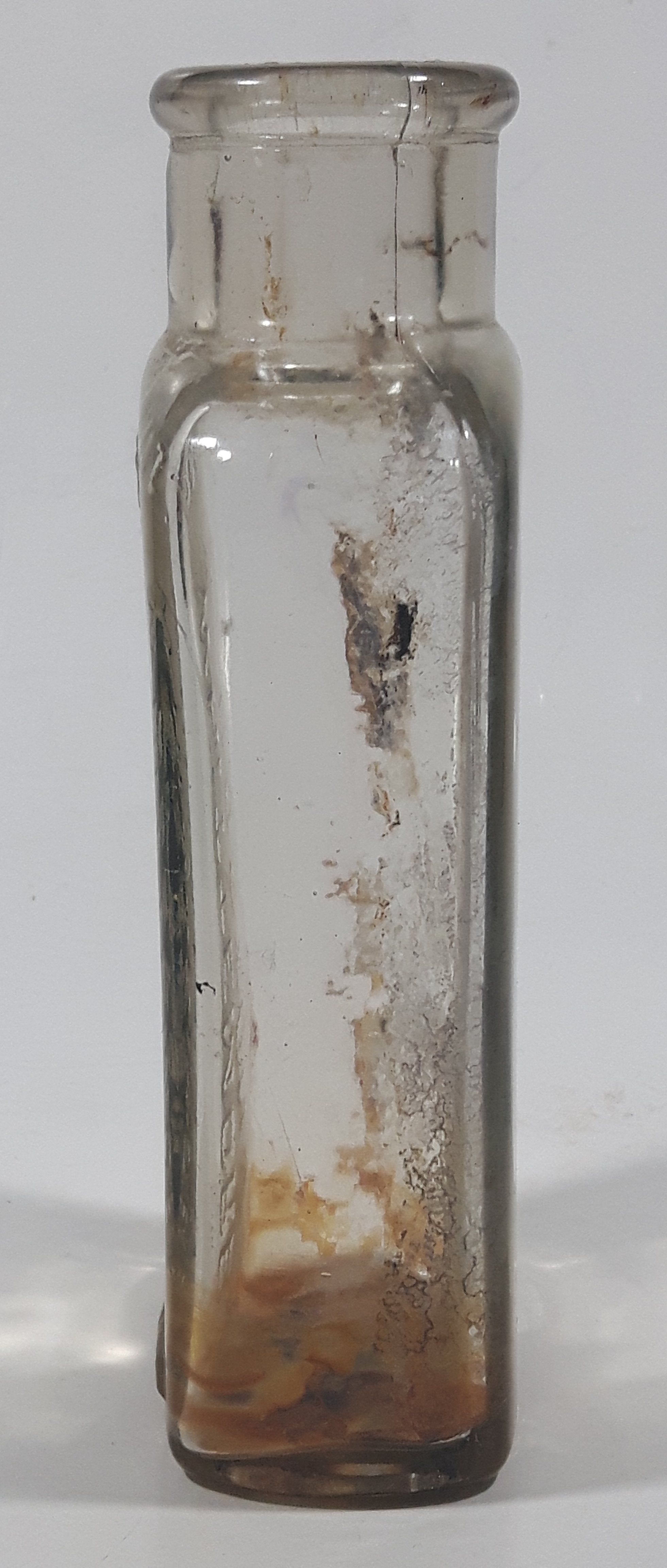 Antique Whittemore Boston U.S.A. 5 Fluid Oz Shoe Polish 5 1/4" Tall Embossed Lettering Glass Bottle 5