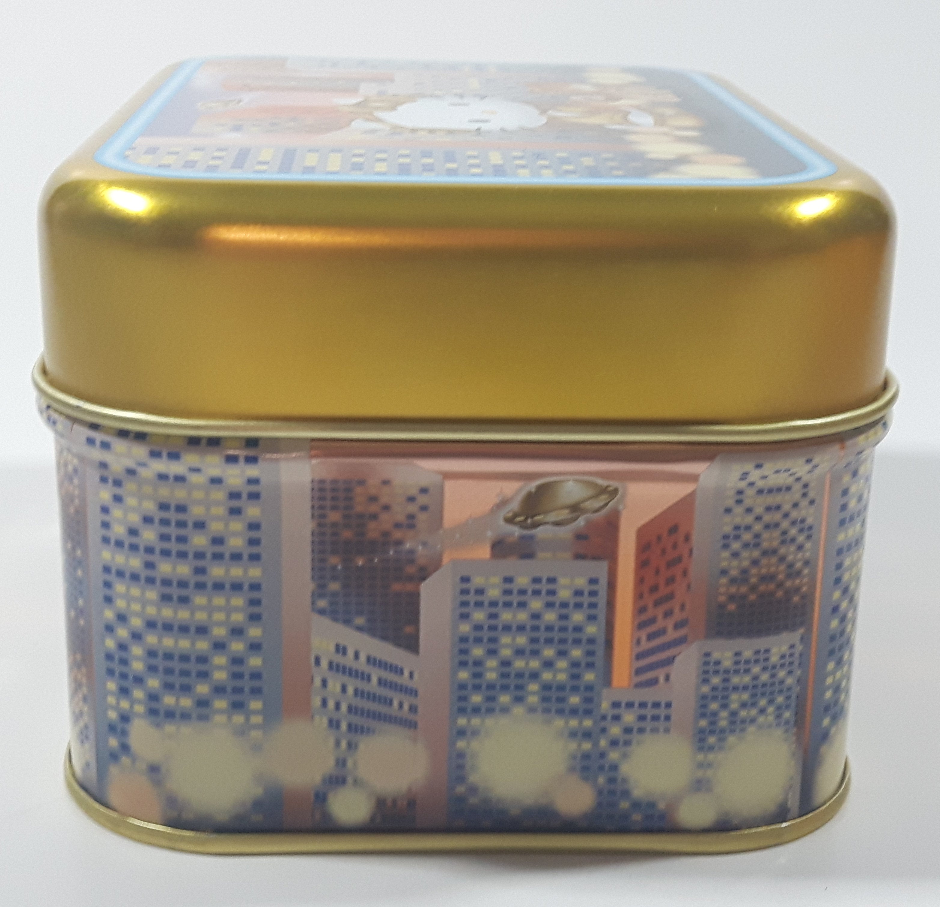 2000 Sanrio Hello Kitty Walking Her Dog Tin Metal Container 8