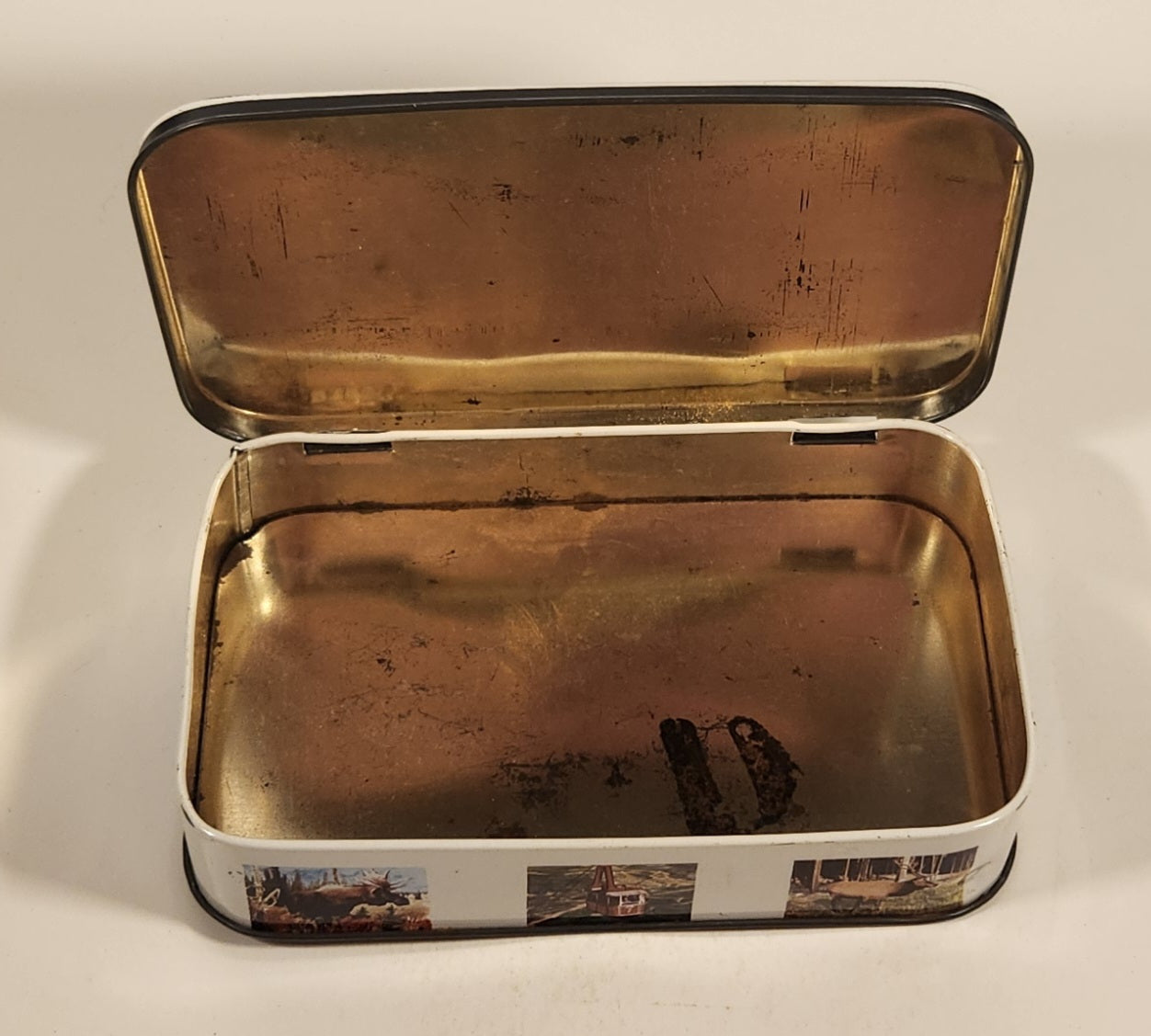 Rare Vintage Maligne Lake Canadian Rockies Jasper Parks Alberta Canada Jasper The Bear Variety Toffee Hinged Tin Metal Container 8