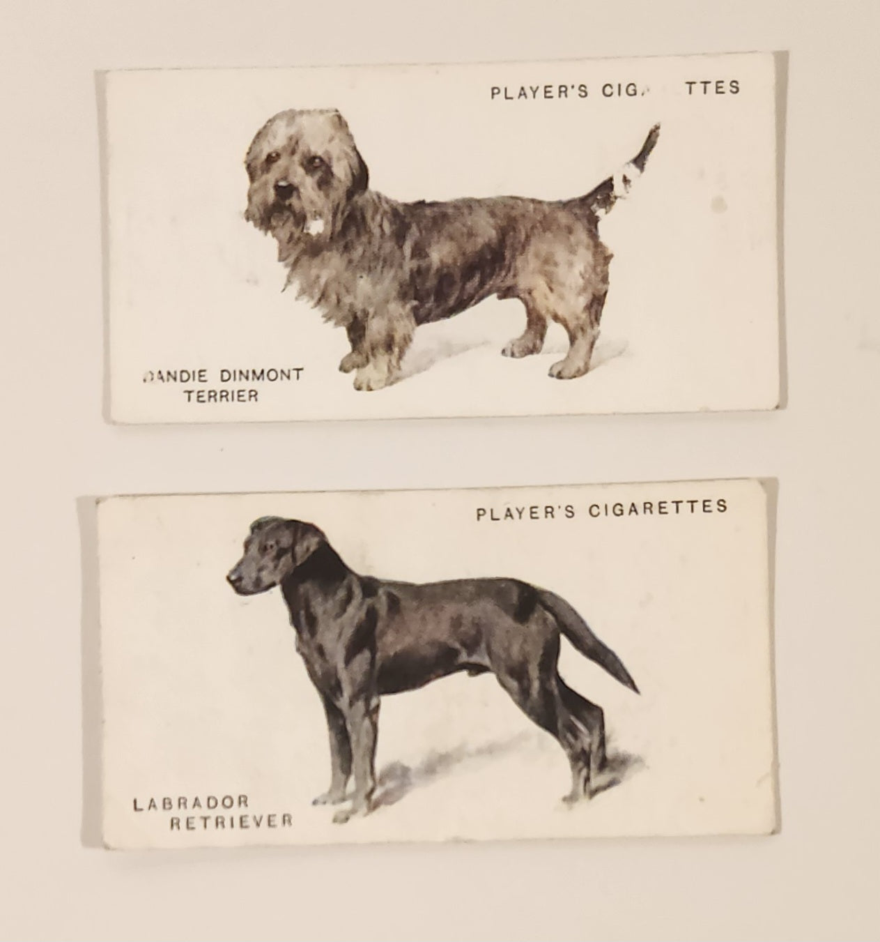 Player's Cigarettes Dogs Tobacco Trading Cards Lot of 2